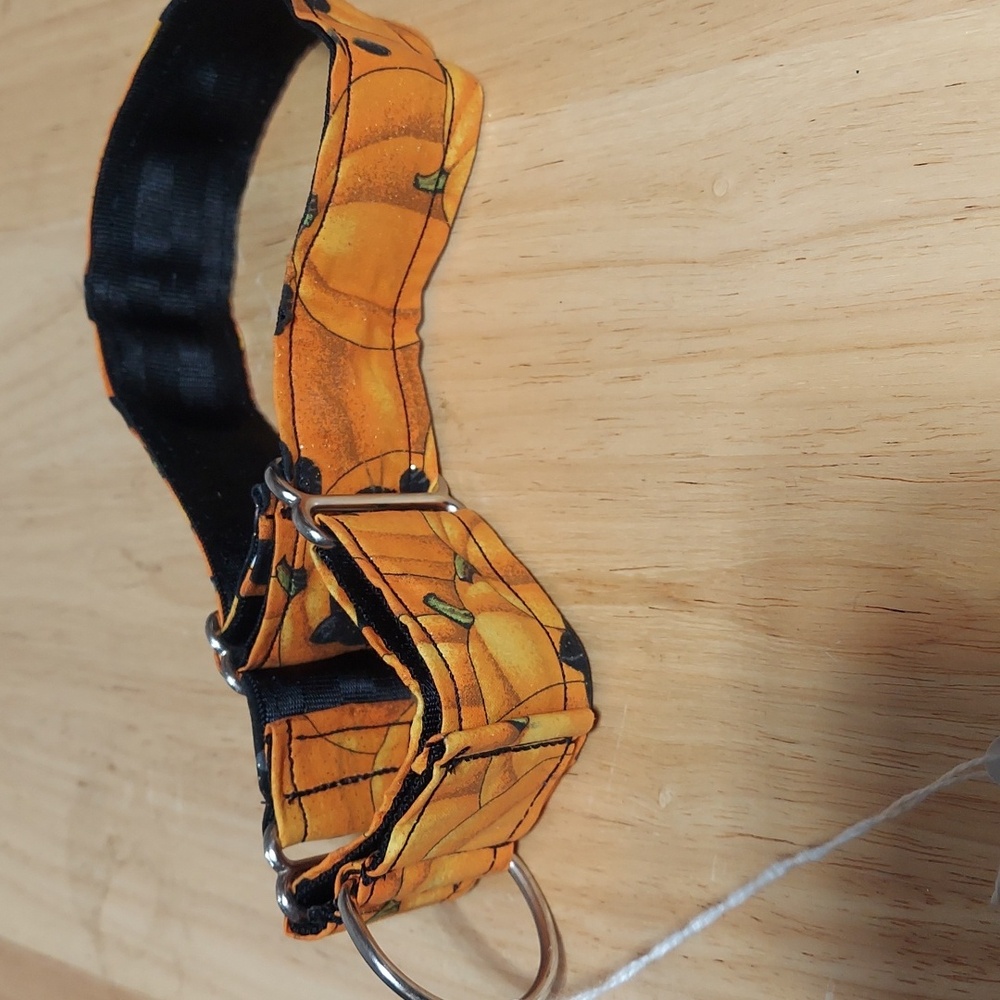 Halloween Pumpkin Dog Collar - Picture 4 of 4